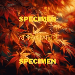 Hojas de Otoño SVG & PNG ? Cartel de otoño | Imágenes Prediseñadas de hojas | Decoración de paredes | Impresión digital | bricolaje