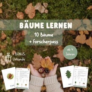 Könnte beinhalten: Lernkarten über Bäume mit dem Text BÄUME LERNEN, 10 Bäume + Forscherpass, ab 4 Jahren und + BONUS: Urkunde. Die Karten zeigen Illustrationen von Blättern, Früchten sowie beschreibende Texte zu verschiedenen Baumarten und deren Merkmalen.