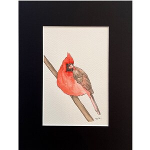 Aangepaste aquarel vogelillustraties, aangepaste aquarelkunstwerk, op bestelling gemaakt, kleine vogeltekeningen, aangepast schilderij, gepersonaliseerd cadeau