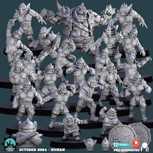 Fantasy Football Miniatures - Human Team - RoP