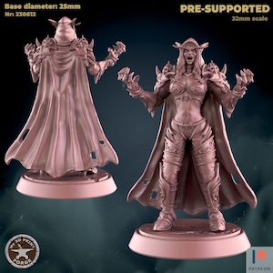 Warcraft Miniatures - Sylvanas Windrunner Screaming  - My3DPrintForge