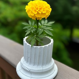 Puede incluir: Una vibrante flor de caléndula amarilla en una maceta decorativa en forma de columna, de color gris claro. La flor está en plena floración, con hojas verdes y un fondo verde borroso. La maceta está en una terraza de madera.