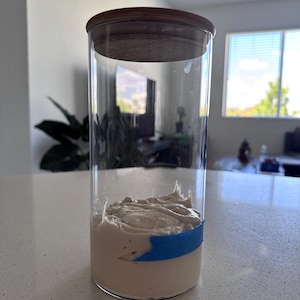 Getrockneter Sauerteig-Starter