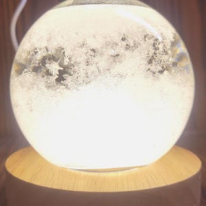 Fitzroy Storm Glass Barometer Snow Globe & LED USB Display | Made in the USA! | Great Gift Idea |