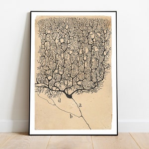 Neurone di Santiago Ramón y Cajal, Download di illustrazioni digitali scientifiche, Arte stampabile biologica, Download di poster digitali del sistema nervoso