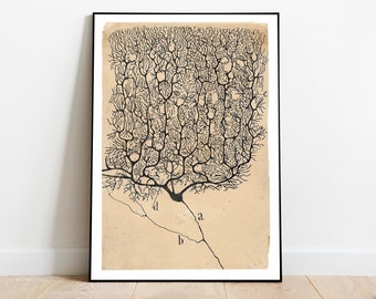 Neuron by Santiago Ramón y Cajal, Scientific Digital Illustration Download, Biological Printable Art, Nervous System Digital Poster Download