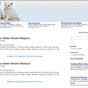 May include: Two white kittens sit atop a website design. The website's content includes text about tankless water heaters, gas furnaces, and hot water systems. Additional text includes website links and advertisements.