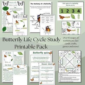 May include: A printable pack of educational resources for learning about the butterfly life cycle. The pack includes worksheets, fact cards, crafts, games, and more. The image shows a variety of colourful worksheets with illustrations of butterflies, caterpillars, eggs, and pupae. The text "Butterfly Life Cycle Study Printable Pack" is featured in a large font at the top of the image.