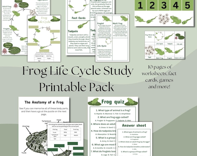 Frog Life Cycle Mini Study - Etsy Canada