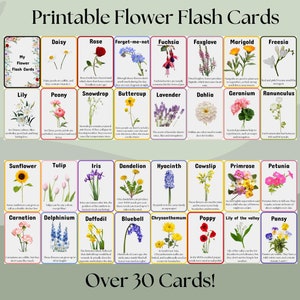 Cartes flash fleurs, ressources de la nature, téléchargement immédiat, matériaux Montessori botanique, faune, fleurs, enseignement à domicile, plein air