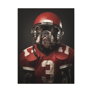 Football Player custom pet portrait