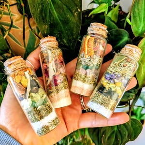 May include: Four small glass bottles filled with layers of herbs, crystals, and dried flowers, each sealed with a cork stopper. The bottles are held in a hand, with green foliage in the background. The contents of each bottle vary in color and composition.