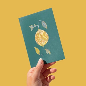Paquet de 6 cartes torsadées
