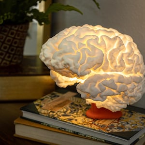 May include: A white brain-shaped lamp emitting a warm light, placed on a stack of books. The lamp has a textured surface and sits on a small orange base. The background includes a potted plant and a wooden surface.