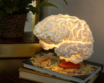 Lampada cerebrale stampabile in 3D / Modello anatomico accurato a grandezza naturale / Download digitale STL