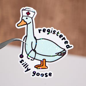 May include: A white sticker with a cartoon goose wearing a nurse's hat and holding a stethoscope. The text "registered silly goose" is written around the goose.