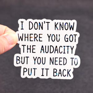May include: A die-cut sticker with a holographic finish featuring the black text I DON'T KNOW WHERE YOU GOT THE AUDACITY BUT YOU NEED TO PUT IT BACK. The surface of the sticker has a subtle, shimmering star pattern that reflects light in various colors.