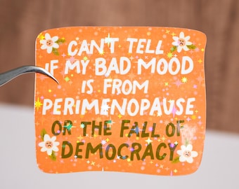 Can't tell if my bad mood is from perimenopause sticker, FDT decal, Resist political quote, Waterproof, Social justice gift for adult