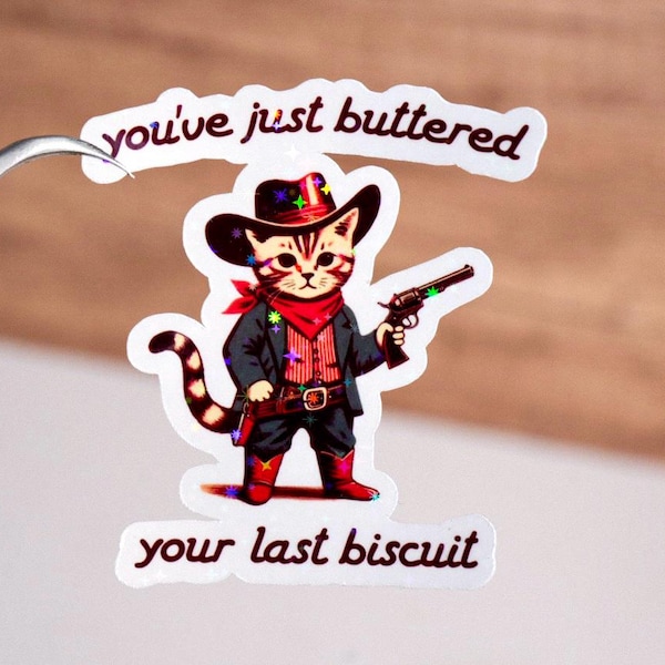 Je hebt zojuist je laatste koekjessticker ingesmeerd, waterdicht, grappige sticker voor volwassenen, quote sticker, cadeau voor mannen vrouwen vriend, grappige kat