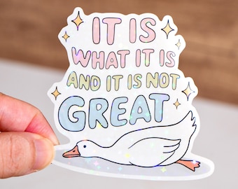 It is what it is and it is not great sticker, Waterproof, Funny sticker for adult, Quote decal, Gift for men women friend, Silly goose
