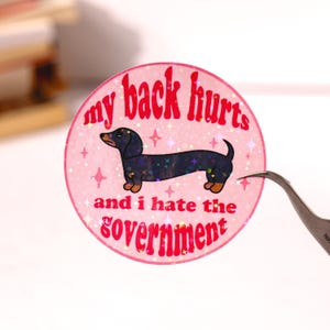 Może przedstawiać: Okrągła, różowa naklejka z napisem "my back hurts and I hate the government" w kolorze czerwonym. Czarny i opalizujący jamnik znajduje się na środku. Naklejka ma błyszczący, holograficzny efekt.