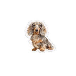Könnte beinhalten: Ein Aufkleber mit einem langhaarigen Dackel mit beigem und grauem Fell. Der Hund sitzt in einer nach vorne gerichteten Position, wobei seine langen, hängenden Ohren das Gesicht einrahmen. Die Illustration hat einen weißen Rand.