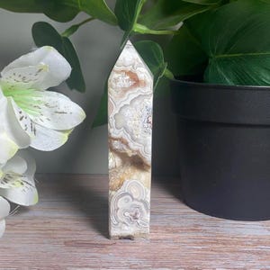 Beautiful Crazy Lace Agate With Druzy Pocket
