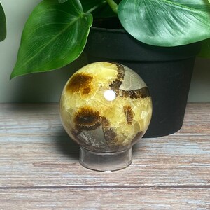 Beautiful Septarian 54mm Sphere