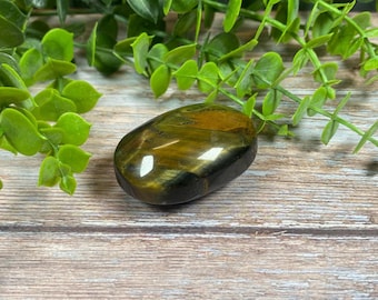 Blue Tiger's Eye Palm Stone, Crystal Healing (2in)