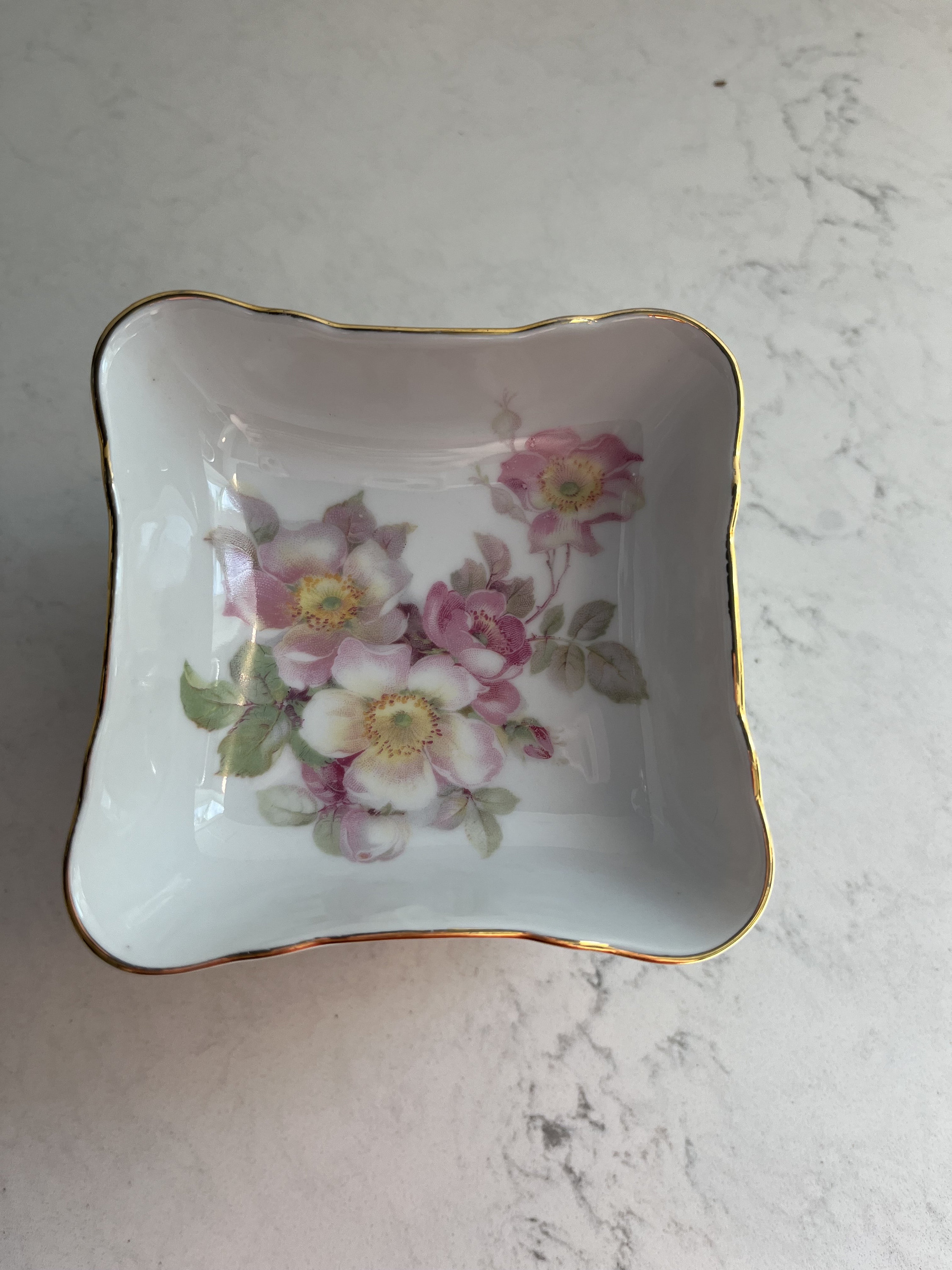 SET of 5 Golden Crown E&R 1886 Schumann Arzberg, Germany Wild Rose ...