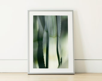 Southwest Agave Fine Art Photo Print | Tropical Desert Plant | Modern Botanical Succulent | Nature Wall Art