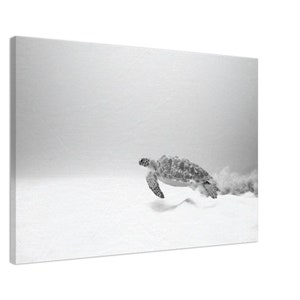 Sea Turtle Canvas Print – Black and White Ocean Photography, Minimalist Beach Decor for Coastal Home