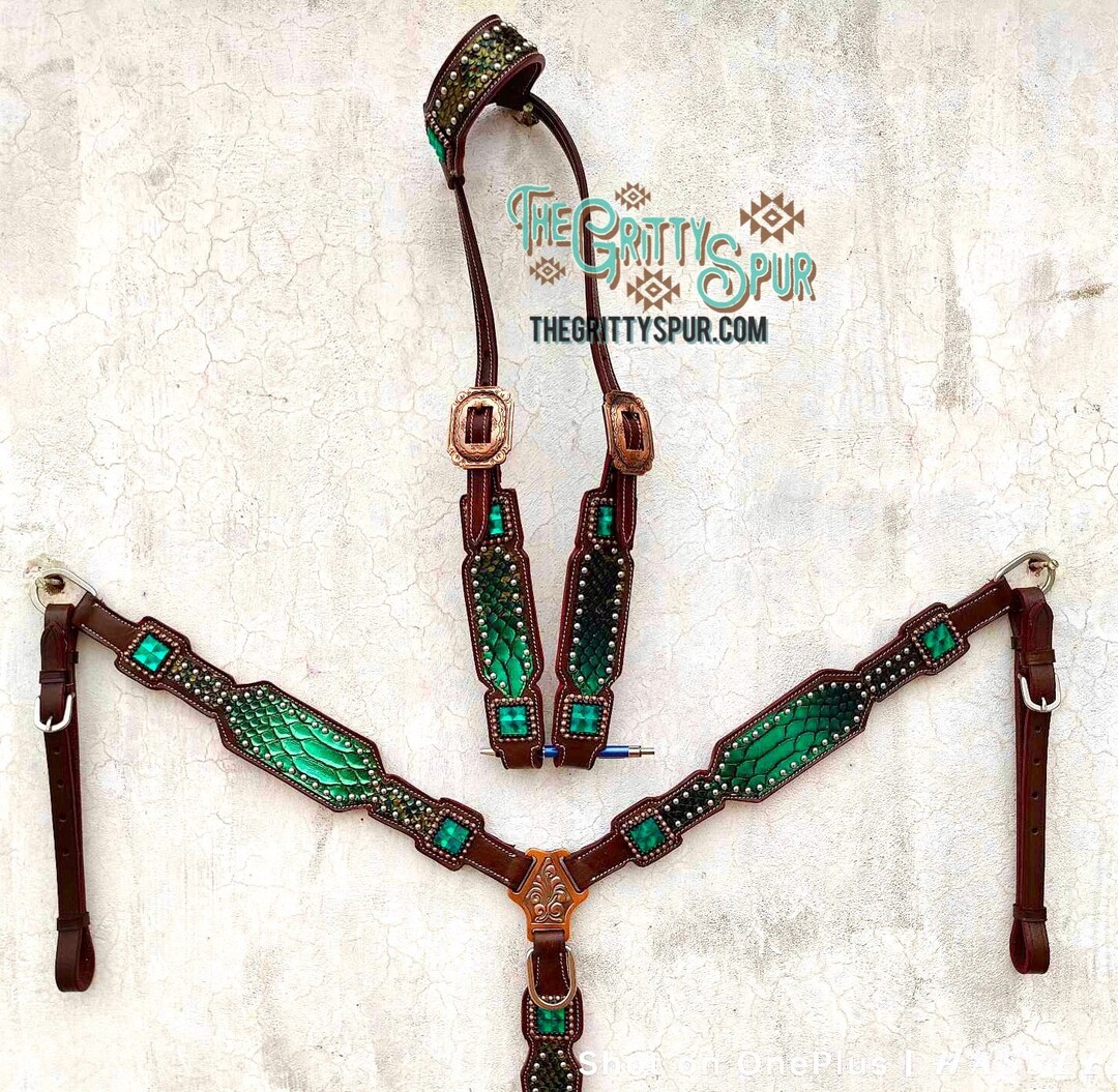 Sea Green Gator Tack Set- Choose One Ear or Browband- - Etsy