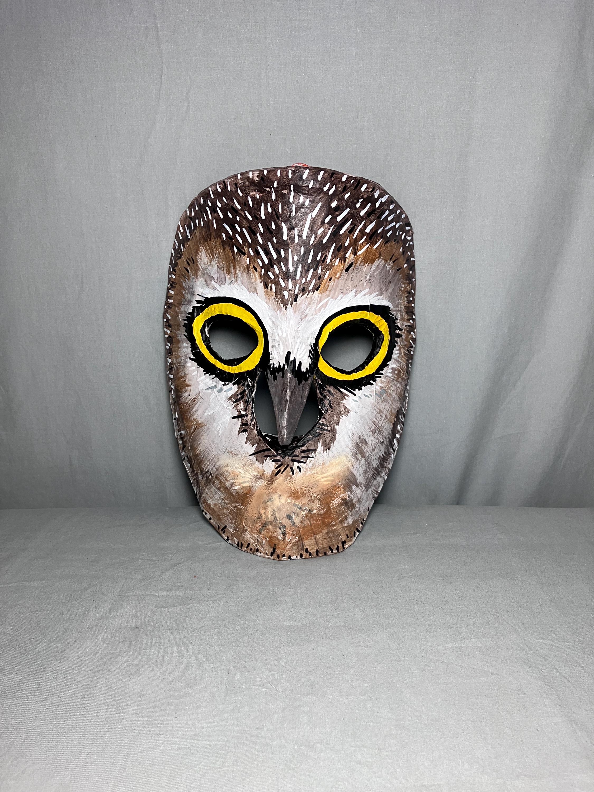 Paper Mache Owl Mask