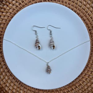 May include: A jewelry set featuring a necklace and earrings. The set includes a silver chain necklace with a small seashell pendant and a pair of seashell earrings. The seashells are brown and white, and the jewelry is displayed on a white plate.