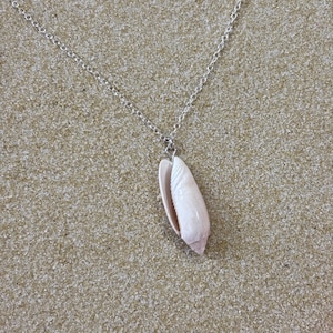 May include: A silver-toned metal chain necklace featuring a single, elongated, off-white seashell pendant. The shell has a smooth, glossy surface with a visible opening along one side, suspended from a simple metal jump ring on the chain.