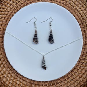 May include: A jewelry set featuring a necklace and a pair of earrings. The necklace has a silver chain with a seashell pendant. The earrings also have seashells. The seashells are brown and white, and the jewelry is displayed on a white plate.