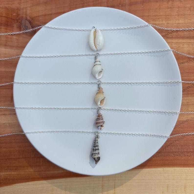 May include: A collection of silver necklaces, each featuring a unique seashell pendant. The shells vary in shape, size, and color, ranging from creamy white to brown and tan. The necklaces are displayed on a white plate against a wooden background.