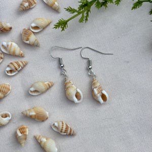 May include: A pair of seashell earrings with silver-colored hooks. The earrings feature small, spiral-shaped seashells, each wrapped with silver wire. Several seashells are scattered around the earrings on a light-colored surface.