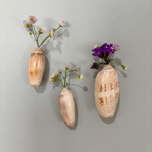 May include: Three wall-mounted seashell vases arranged vertically. Each smooth, tan and white patterned shell holds a small bouquet of delicate flowers. The left and center shells contain pale purple and white blossoms, while the right shell holds deep purple flowers.