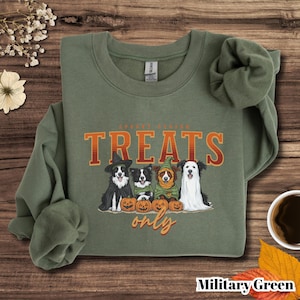Border Collie Halloween Sweatshirt: Spooky Dog Lover Gift
