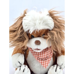 Può includere: Un peluche a forma di cane con pelo marrone e bianco, una macchia bianca sulla testa e una bandana a scacchi rossi e bianchi. La bandana porta il nome "GINGER".