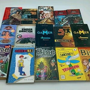 Peut inclure: Une collection de livres aux couvertures colorées, avec des titres tels que "Gamer" et "Ender Dragon". Les illustrations présentent des personnages et des scènes, avec du texte visible sur les couvertures. Les livres sont disposés sur une surface blanche.
