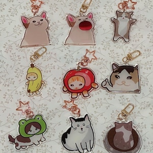 May include: A collection of clear acrylic keychains featuring cartoon cat and character designs. Each keychain has a gold-colored clasp and a rose gold star charm. The designs include a cat with its mouth open, a cat in a banana costume, and a cat in a frog hat.