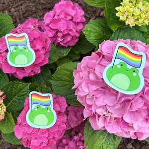 Frog Pride Glossy Sticker - pride, pride month, sticker addict, LGBTQ, vinyl sticker, lgbtq+