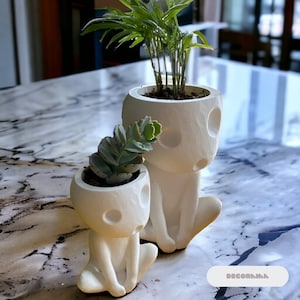 Cute  Indoor Kodama Planter | Studio Ghibli Home Decor | Decorative Ghibli Anime Succulent Plant Pot | Indoor Planter | Housewarming Gift