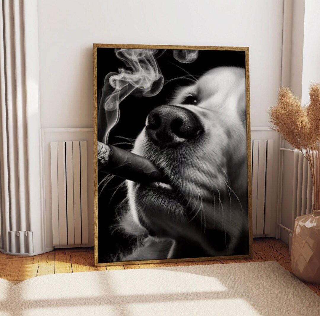 Gangsta Wannabe Golden Retriever Posters Etsy