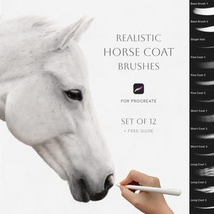 Realistisches Pferdefell-Pinselpaket für Procreate + kostenlose Anleitung