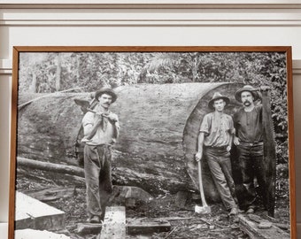 Forestry Australia Digital Print, Logging Digital Print, Historical Logging Print