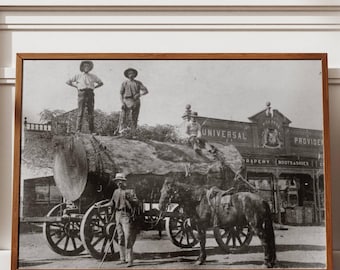 Forestry Australia Digital Print, Logging Digital Print, Historical Logging Print